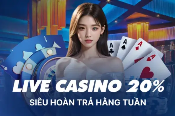 Trang chủ 12 Thiet ke chua co ten 6